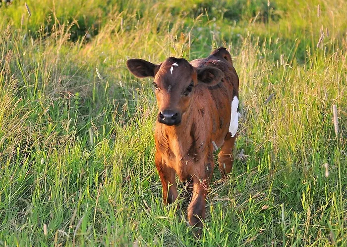 Farma Gospodarstwo agroturystyczne